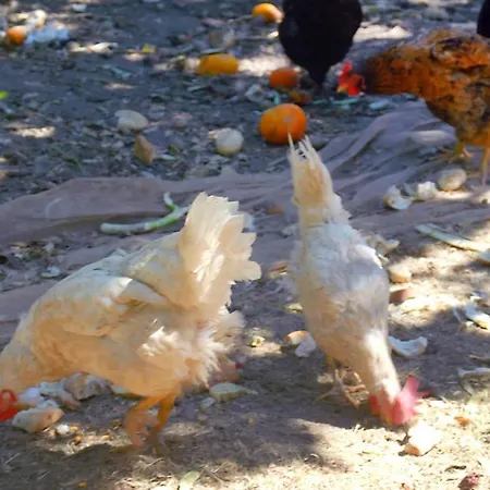 דירה Pueblos Blancos